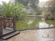 东方晶华园精装修一房+镇政府旁+澧溪小初