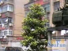 近地铁无抵押通风好,总价低,送露台!