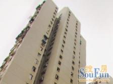 《全新装修》《拎包入住》《高区景观》《鸟瞰三件套》