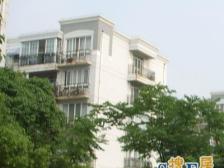 新上小两房 低总价 近地铁1号线 采光好+无抵押