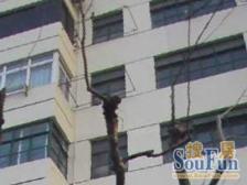 北方公寓 2室1厅 南