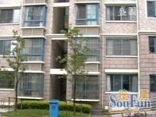 莘庄·新上盛园电梯三房 飞机户型 全明大三房 采光非常好