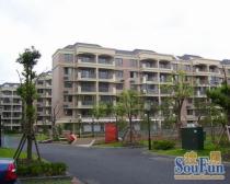 新出两房仅本公司挂牌,看房随时