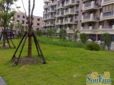 高行家园 4室2厅 南 北