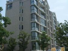 电梯空中别墅,七复八送九,送大露台,十年不出一套