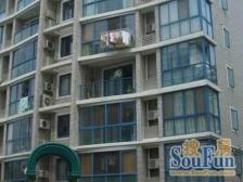 采光好,精装,拎包入住 必看好房