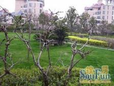 高行 · 碧云左岸 · 6室 · 2厅