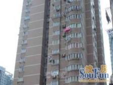 贝港花苑 3室2厅 南