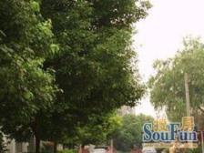 品质小区,繁华地段,刚需好房,装修齐全