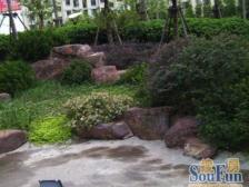 电梯房 中间楼层 急售