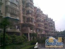 宝钢一村两房户型 户型正气 采光充足