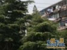 长海三村1室南朝向140.00万元/套出售