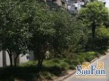 长海三村1室南朝向200.00万元/套出售