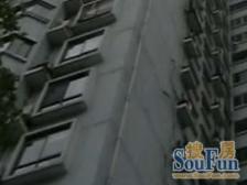 近地铁,满五,电梯房 新上房源