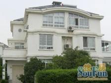 虹桥主城区 会展中心旁 大双拼 户型正气 随时看