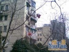 长顺坊 2室1厅 南