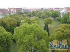 独栋精装 二层 北进门 南花园 多房 诚意出售