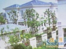 独栋精装 二层 北进门 南花园 多房 诚意出售