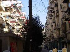 双辽南北两房,精装拎包入住,钥匙在手,看中价格可谈,配套齐全