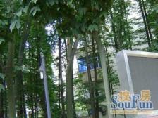 品质小区,环境优美,居家装修,诚意出售