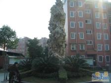 宝山七村1室南朝向210.00万元/套出售