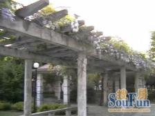 春辉新村 顶楼复式 +交通便利+配套实施齐全!