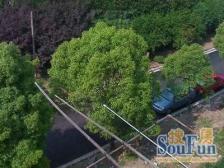 东沟六村 一梯两户 商品房户型正气 中间楼层 诚心卖