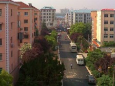 东沟六村 3室1厅 南 北