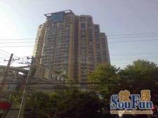 巴黎时韵 梧桐区 衡复 不是本地然也能购入