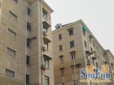 南北两房+业主诚意 +配套齐全+交通便利