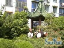 新上一房 位置好 刚需上车 好选择 小区美丽家园已做