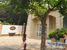 大开间,双阳台,诚意出售,精装好房