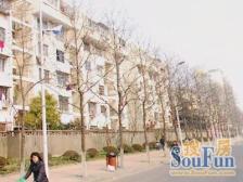 宝林八村 2室1厅 南 北