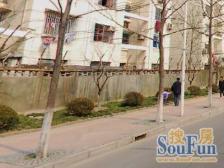 宝林八村 2室0厅 南 北