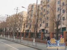 大一室一厅,房型正气,采光好