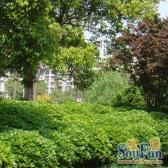 近地铁中间楼层,新上房源