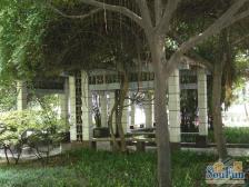 南坪 万寿花园二房