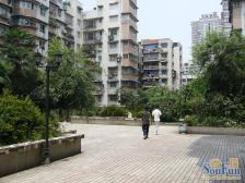 电梯房,低总价,珊瑚,近轻轨。