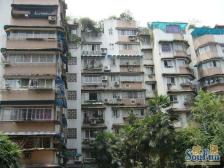 南坪 万寿花园二房52万