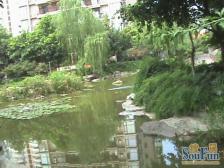 骏逸江南 3室1厅 东南