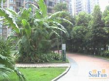 南坪骏逸江南小区 住家精装2房 业主安心卖