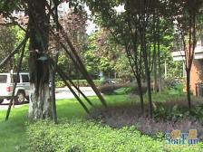 精装一改二厅带大阳台 环境好 宜居家 采光好