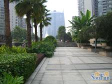 北滨路全江景 精装5房 无遮挡 双轻轨 带地暖 拎包入住