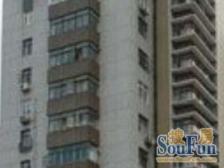 枫林大楼1室1厅南