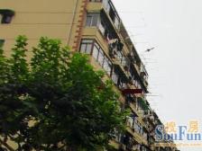 新上陆家嘴正芯双南中间楼层品质好房