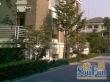 高富丽源名邸实景图