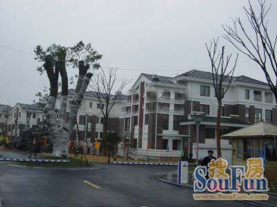 高富丽源名邸实景图