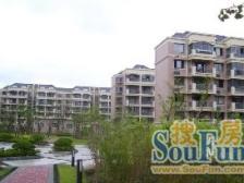 采光好 无抵押 电梯房 新上房源