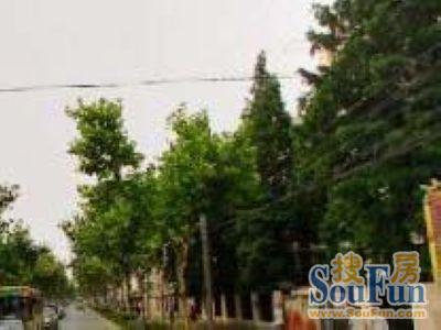 国定路505弄小区实景图