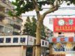 国定路505弄小区实景图